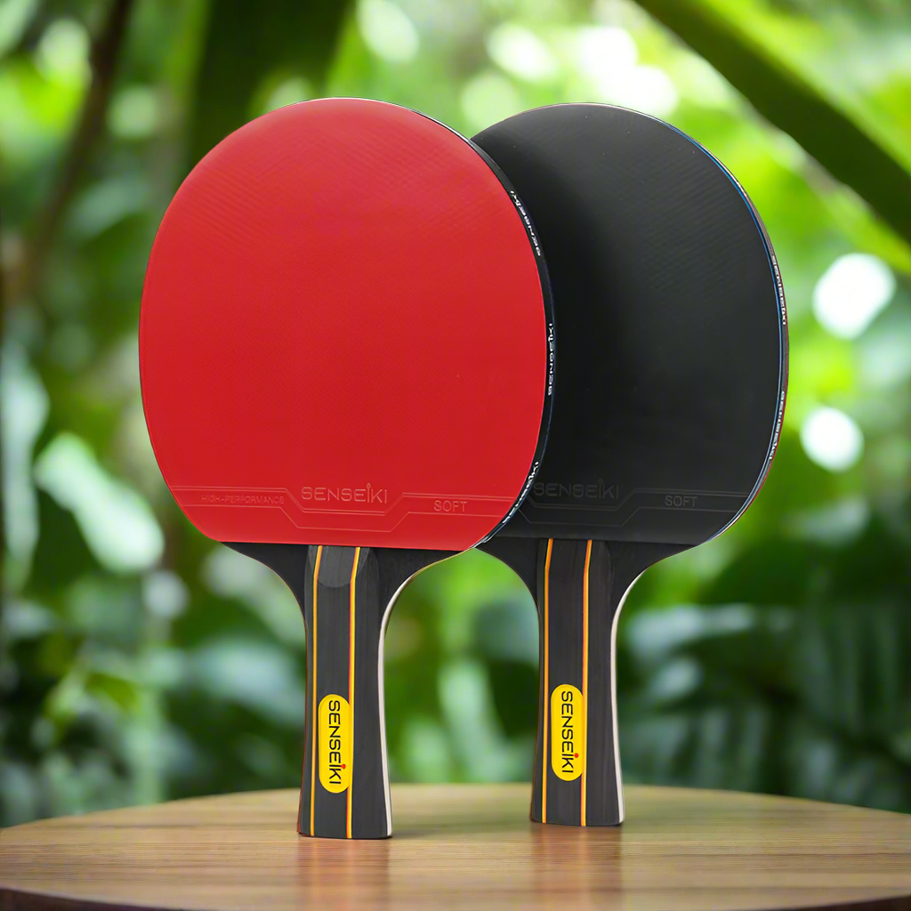 All-In-One Portable Ping Pong Set with 2 paddles, 3 balls, a net.