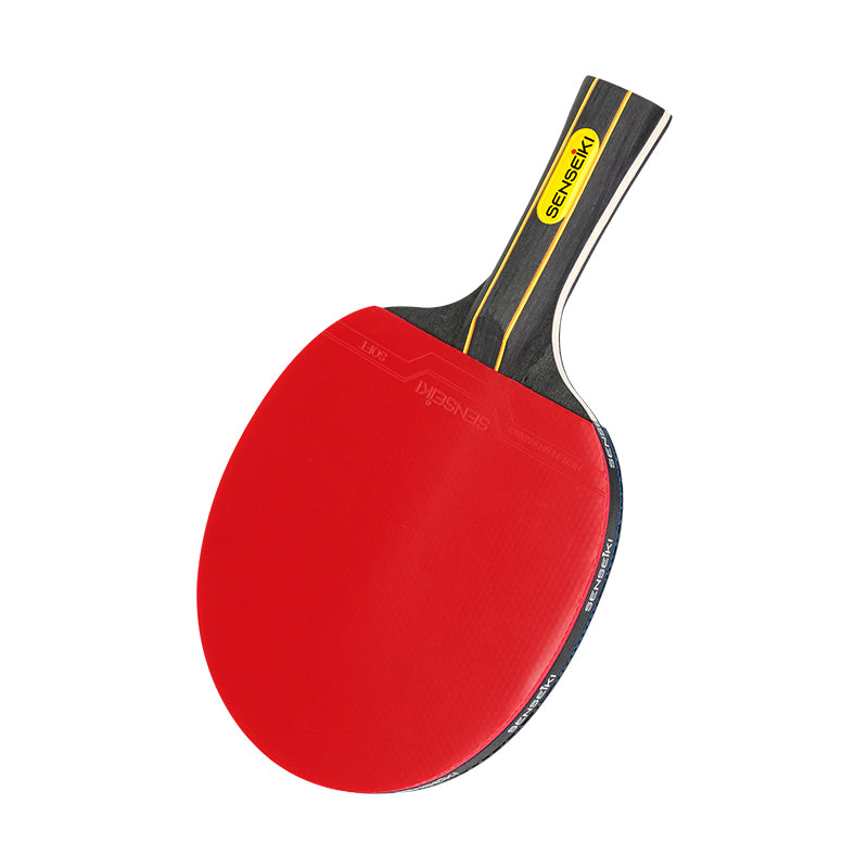 All-In-One Portable Ping Pong Set with 2 paddles, 3 balls, a net.