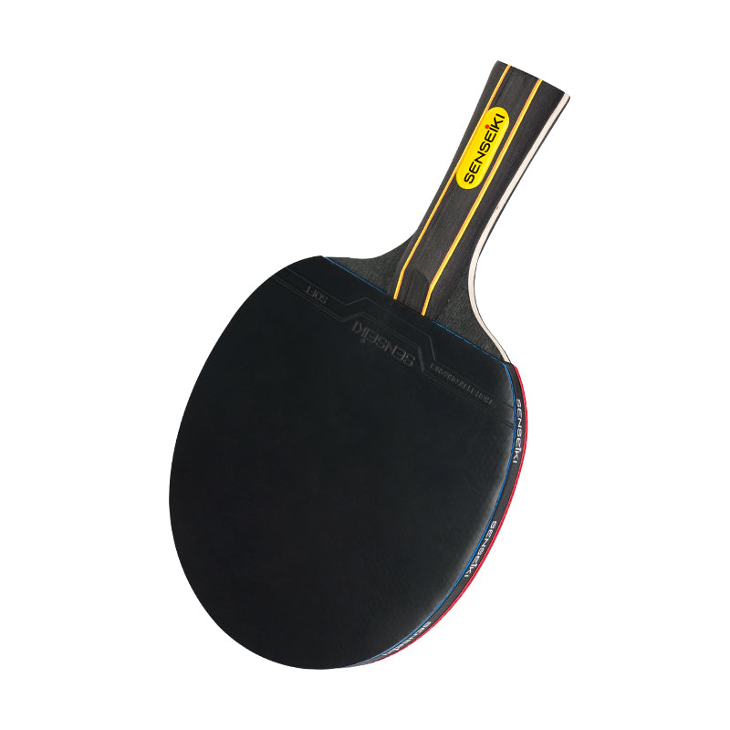 Ping Pong Paddle Set with 4 paddles, 8 balls