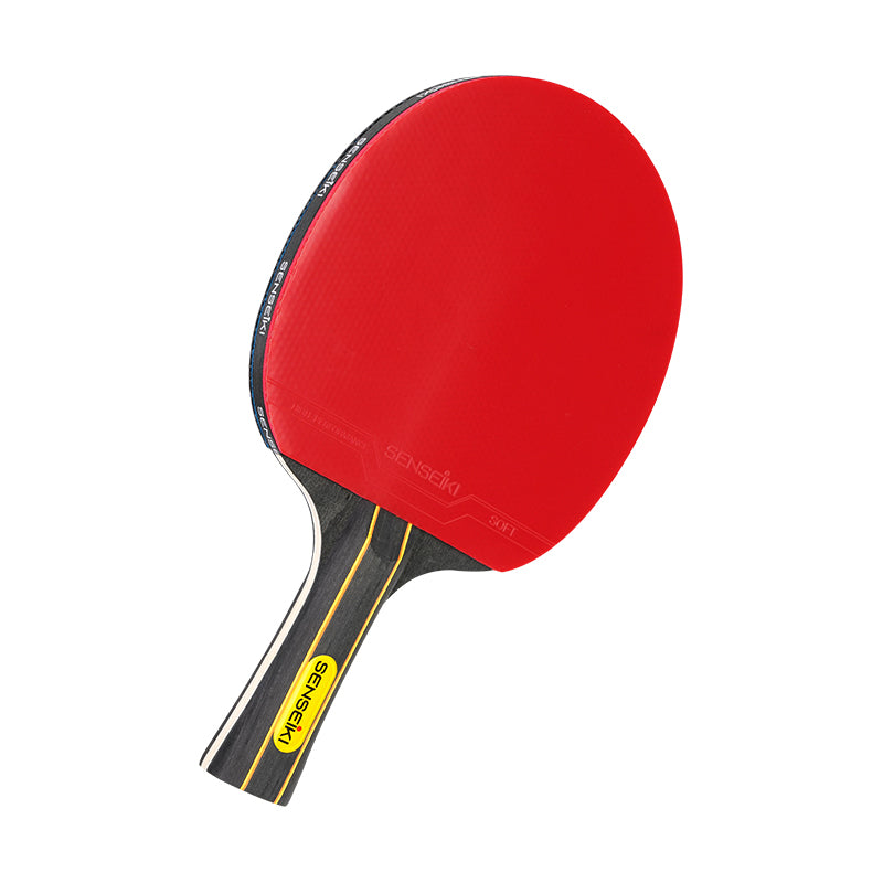 Ping Pong Paddle Set with 4 paddles, 8 balls